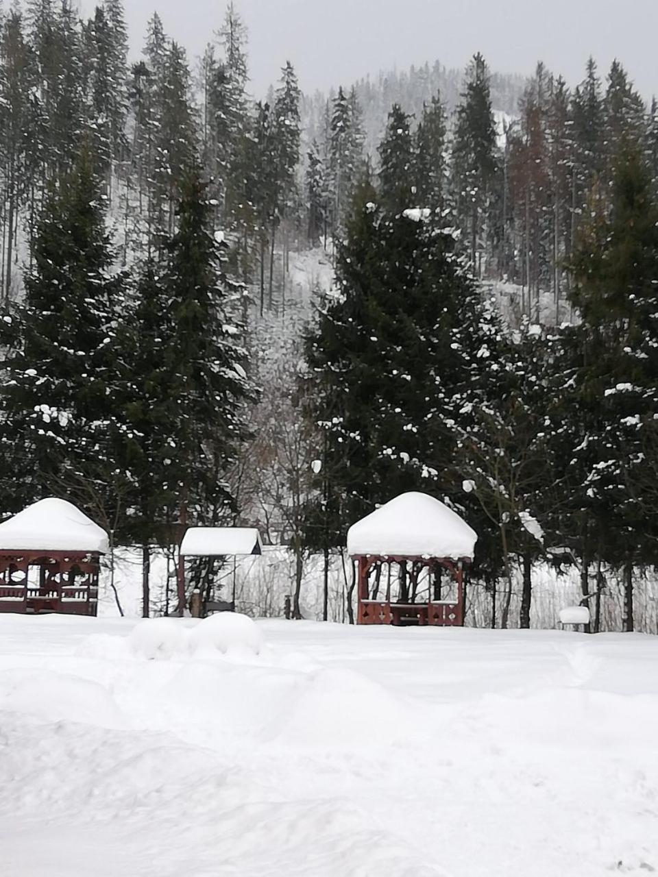 Кукулька Міні-Готель Slavsko Exterior foto